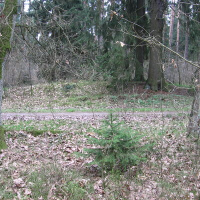 Bild vergrößern: Grabhgel im Hauptsmoorwald