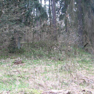 Bild vergrößern: Grabhgel im Hauptsmoorwald.