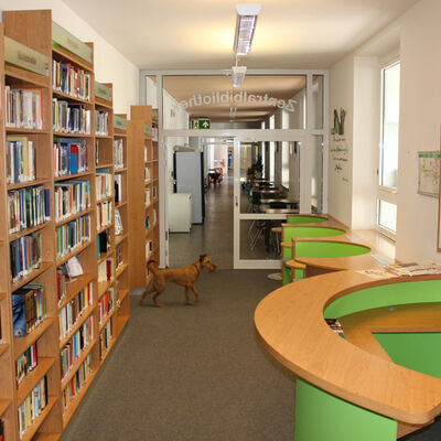 Bild vergrößern: Auf dem Foto sieht man die Bibliothek des EG.