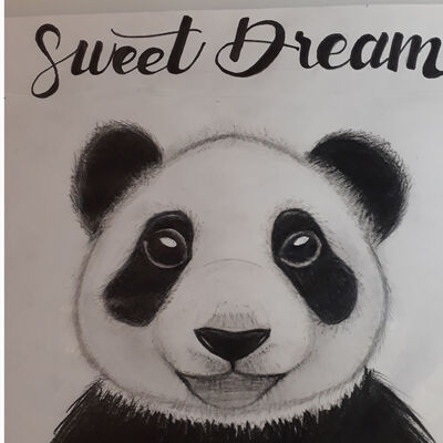 Bild vergrößern: Auf dem Bild ist ein Pandabär sowie der Schriftzug "Sweet Dream" zu sehen.