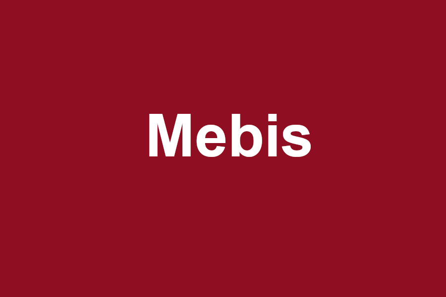 Mebis