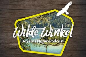 Bild vergrößern: Wilde Winkel - Bayerns Natur-Podcast
