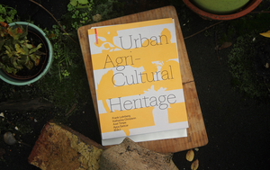 Bild vergrößern: Publikation zu Urbanem Gartenbau mit Beitrag aus Bamberg