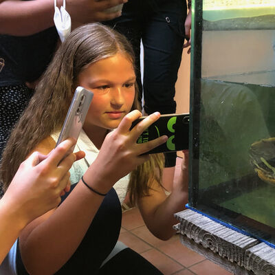 Bild vergrößern: Auf dem Bild sind die Schüler beim Besuch im Tierheim Berganza zu sehen.
