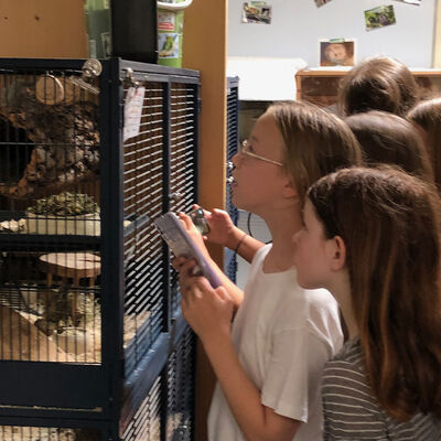 Bild vergrößern: Auf dem Bild sind die Schüler beim Besuch im Tierheim Berganza zu sehen.
