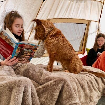 Bild vergrößern: Auf dem Bild ist eine Schülerin beim Lesen mit Ella im Lesehundzelt zu sehen.