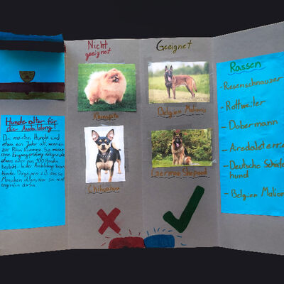 Bild vergrößern: Auf dem Bild ist das Lapbook "Polizeihund 2" von Maksima Mathews, 5b, zu sehen.