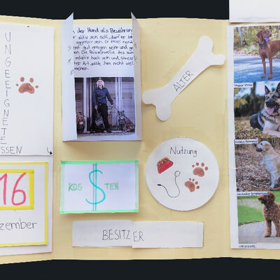 Bild vergrößern: Auf dem Bild ist das Lapbook "Bewährungshelfer Hund 2" von Lena Büttel, 5b, zu sehen.
